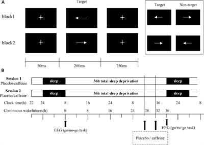 Effects of Caffeine on Event-Related Potentials and Neuropsychological Indices After Sleep Deprivation